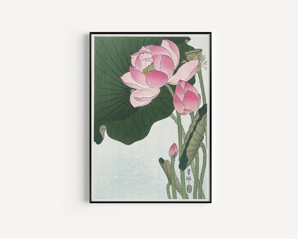 Ohara Koson — Blooming Lotus Flowers | Japanese Bird & Flower Woodblock Print