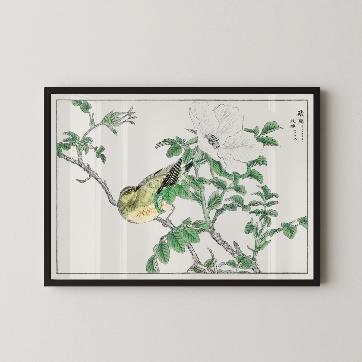 Numata Kashū — Brown-eared Bulbul and Rosa Rugosa | Japanese Bird & Flower Woodblock Print