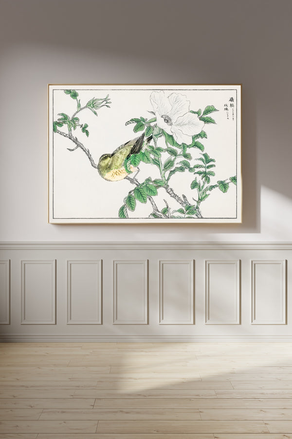 Numata Kashū — Brown-eared Bulbul and Rosa Rugosa | Japanese Bird & Flower Woodblock Print