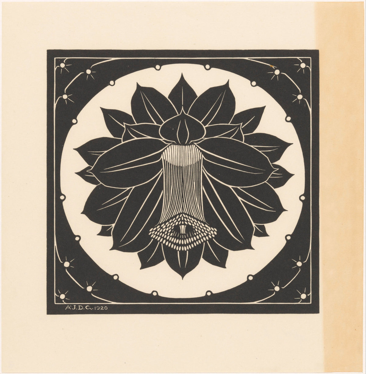 Julie de Graag — Cactus Flower | Woodcut Print