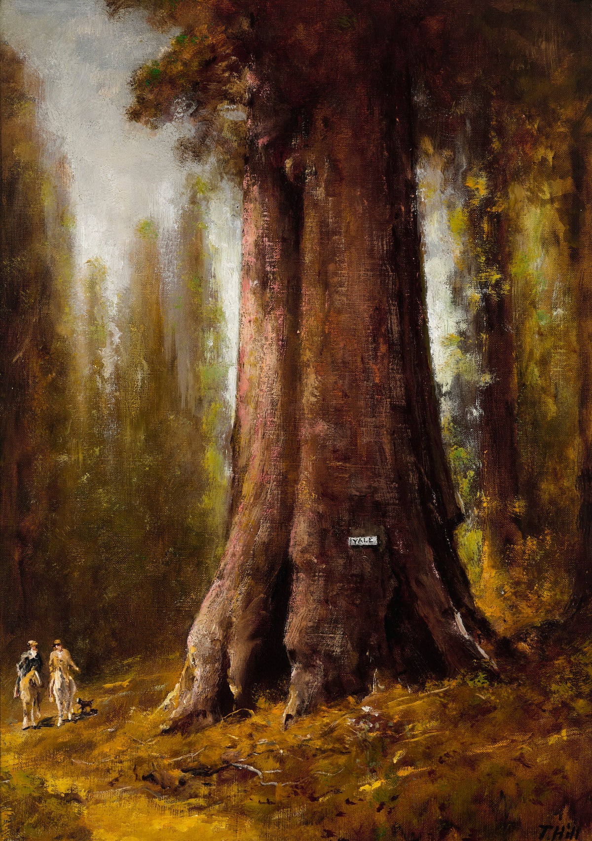 Thomas Hill — California Redwood Trees | Landscape Fine Art Print