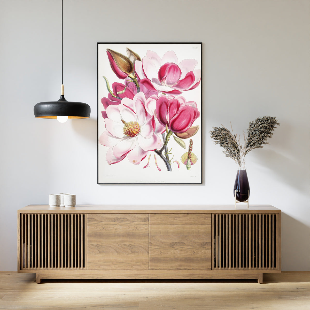 Walter Hood Fitch — Campbell's Magnolia (Magnolia campbellii) | Lithograph Print