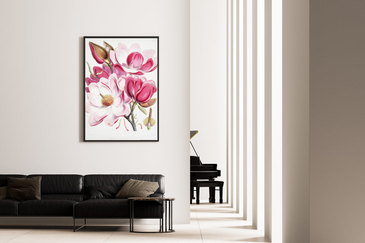 Walter Hood Fitch — Campbell's Magnolia (Magnolia campbellii) | Lithograph Print