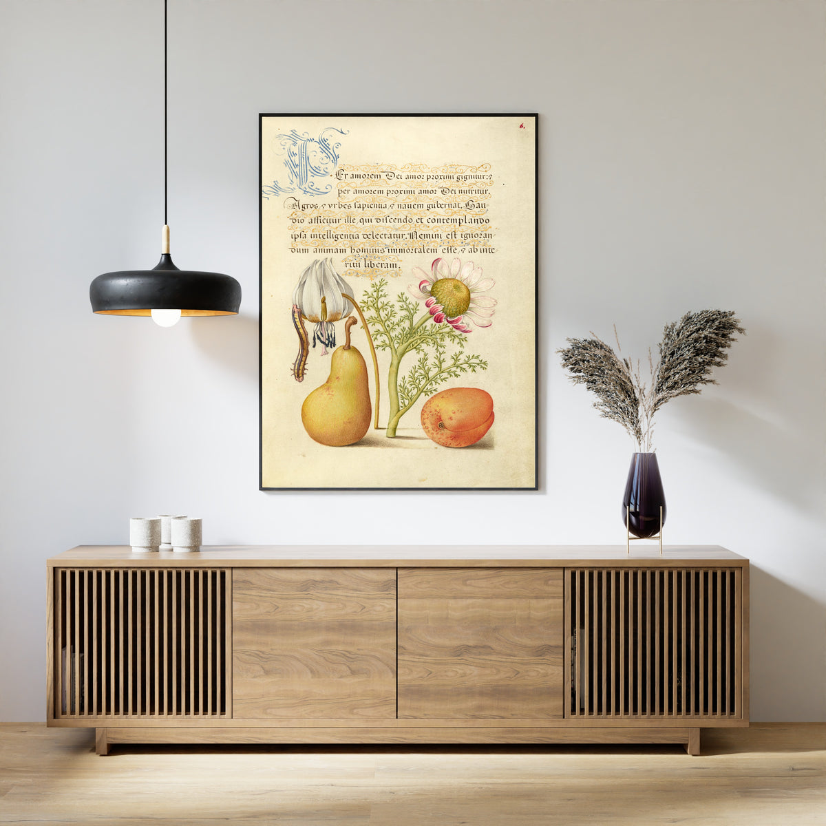 Joris Hoefnagel — Caterpillar, Dog-Tooth Violet, Pear, and Apricot | Botanical Calligraphy Print