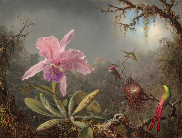 Martin Johnson Heade — Cattleya Orchid and Three Hummingbirds | Fine Art Print
