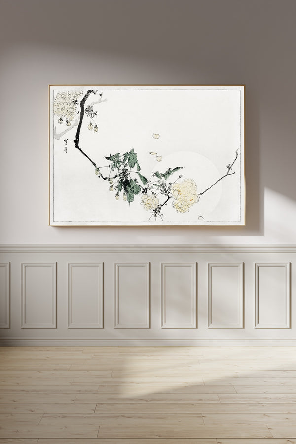 Watanabe Seitei — Cherry Blossom | Japanese Bird & Flower Woodblock Print