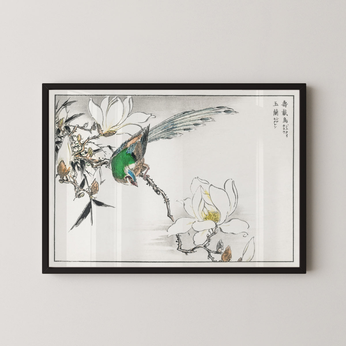 Numata Kashū — Asian Paradise Flycatcher and White Magnolia | Japanese Bird & Flower Woodblock Print