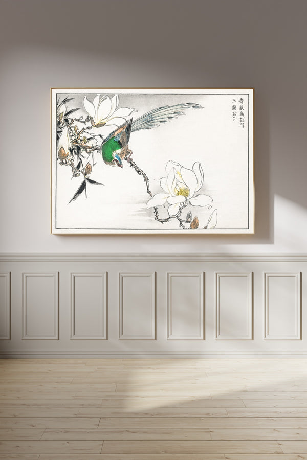 Numata Kashū — Asian Paradise Flycatcher and White Magnolia | Japanese Bird & Flower Woodblock Print