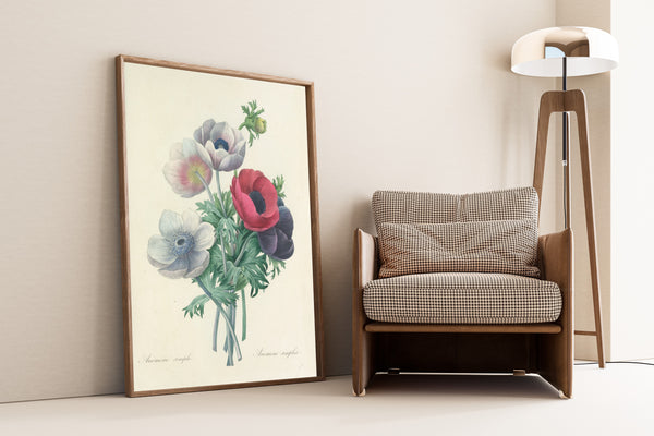Pierre-Joseph Redouté — Choix des plus belles fleurs: Anemone simplex | Botanical Illustration Print
