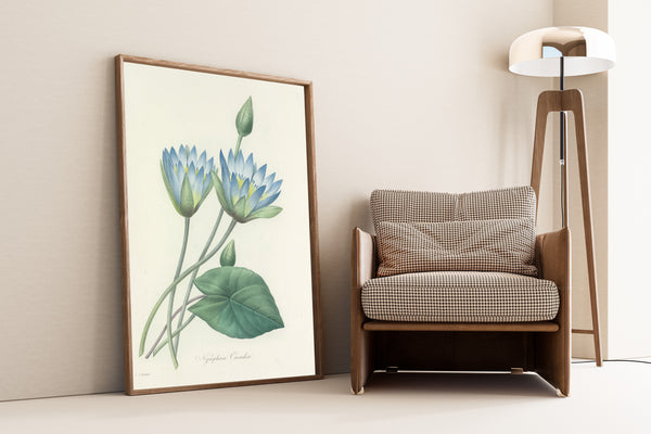 Pierre-Joseph Redouté — Choix des plus belles fleurs: Blue Water Lily (Nymphaea Caerulea) | Botanical Illustration Print