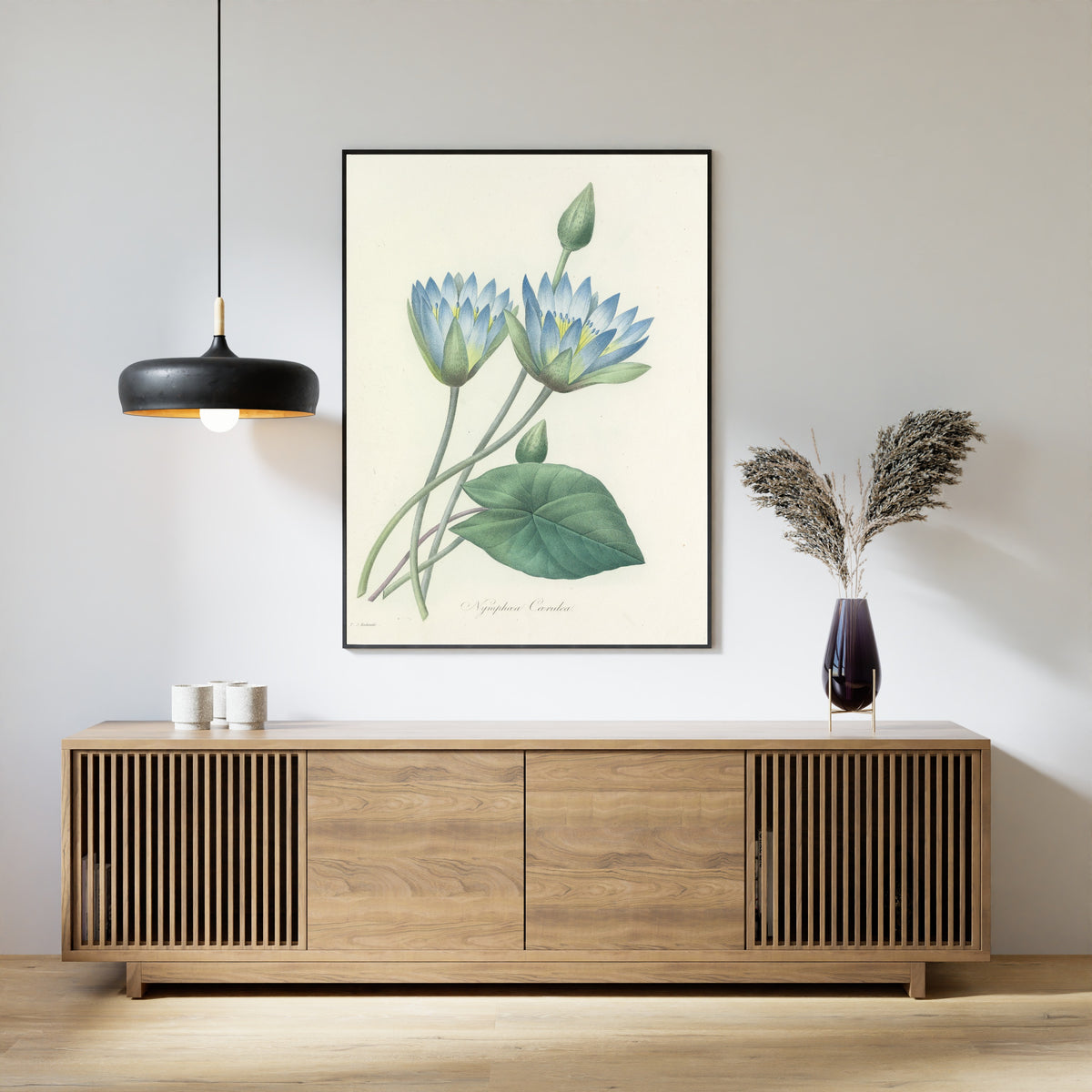 Pierre-Joseph Redouté — Choix des plus belles fleurs: Blue Water Lily (Nymphaea Caerulea) | Botanical Illustration Print