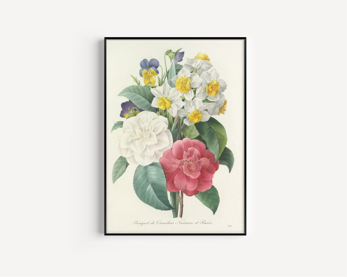 Pierre-Joseph Redouté — Choix des plus belles fleurs: Bouquet of Camellias, Narcissi and Pansies | Botanical Illustration Print