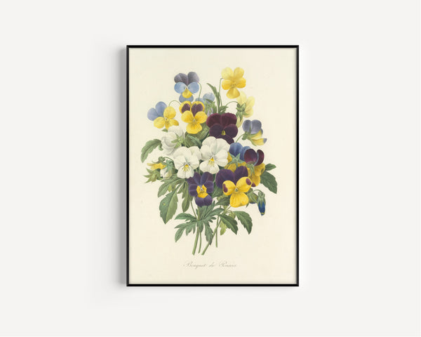 Pierre-Joseph Redouté — Choix des plus belles fleurs: Bouquet of Pansies | Botanical Illustration Print