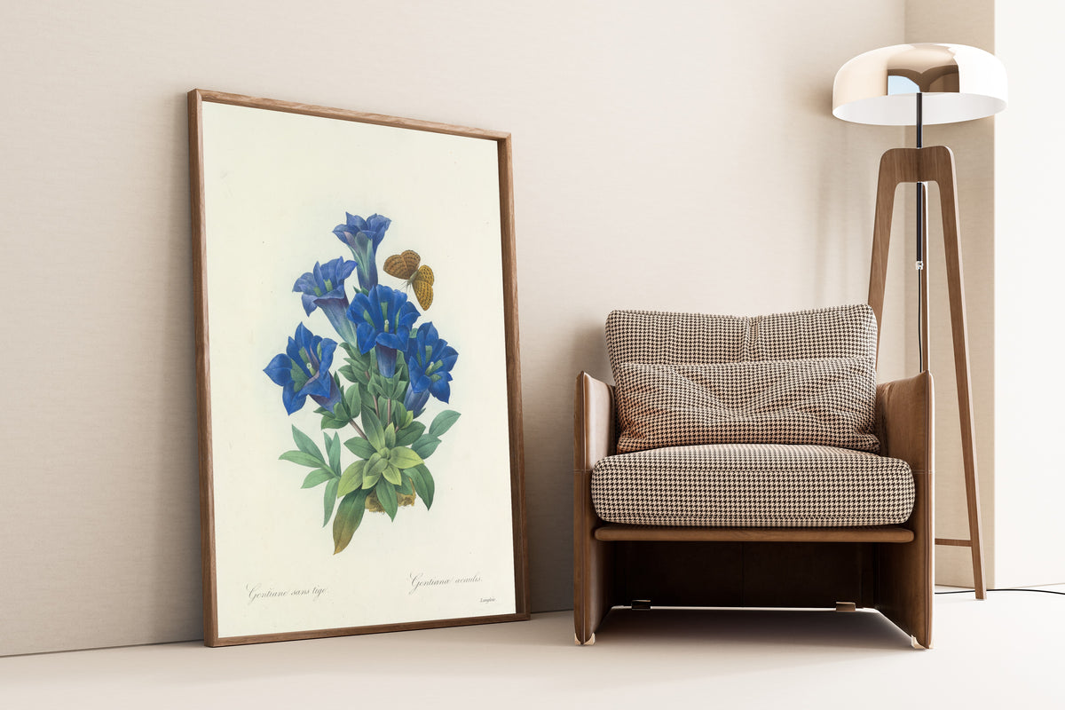 Pierre-Joseph Redouté — Choix des plus belles fleurs: Gentianae acaulis | Botanical Illustration Print