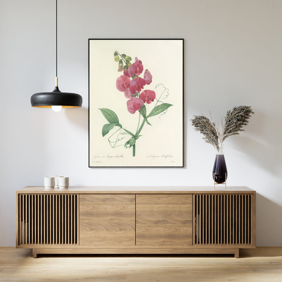 Pierre-Joseph Redouté — Choix des plus belles fleurs: Latyrus latifolius | Botanical Illustration Print