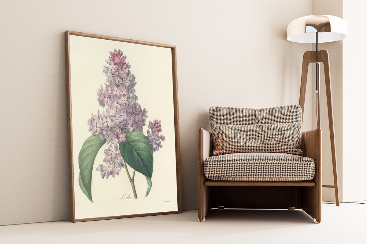 Pierre-Joseph Redouté — Choix des plus belles fleurs: Lilac | Botanical Illustration Print