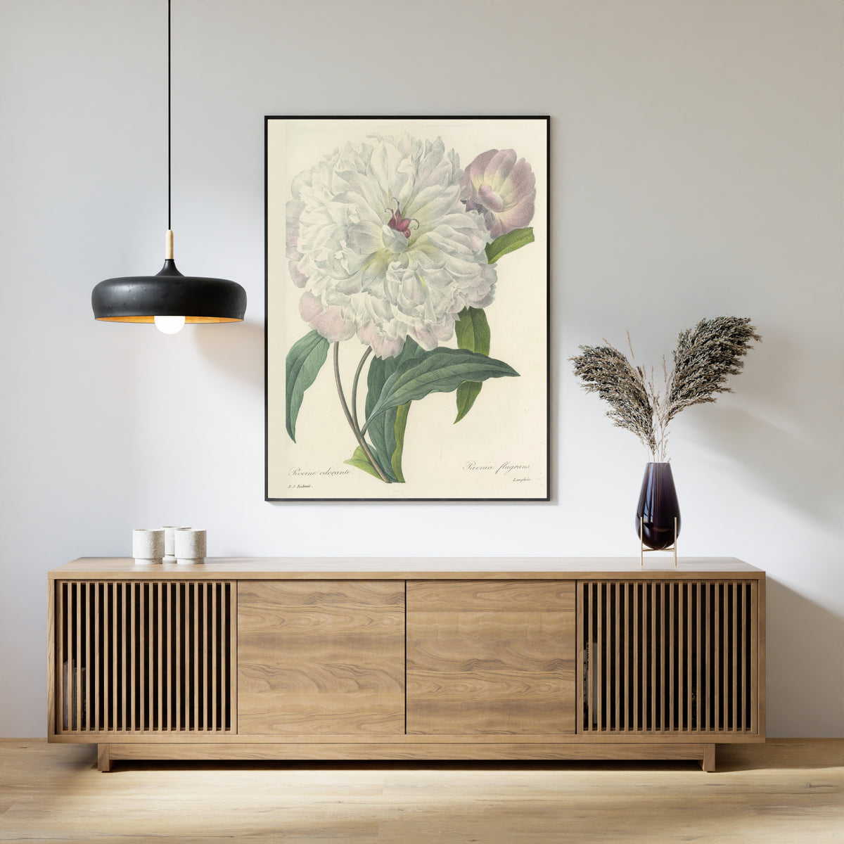 Pierre-Joseph Redouté — Choix des plus belles fleurs: Paeonia flagrans | Botanical Illustration Print