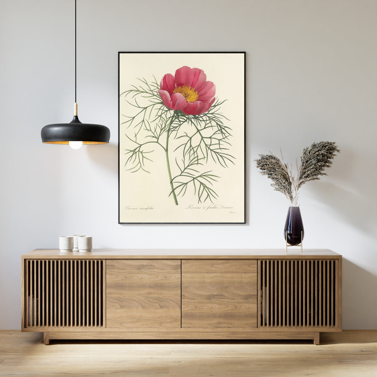Pierre-Joseph Redouté — Choix des plus belles fleurs: Paeonia tenuifolia | Botanical Illustration Print