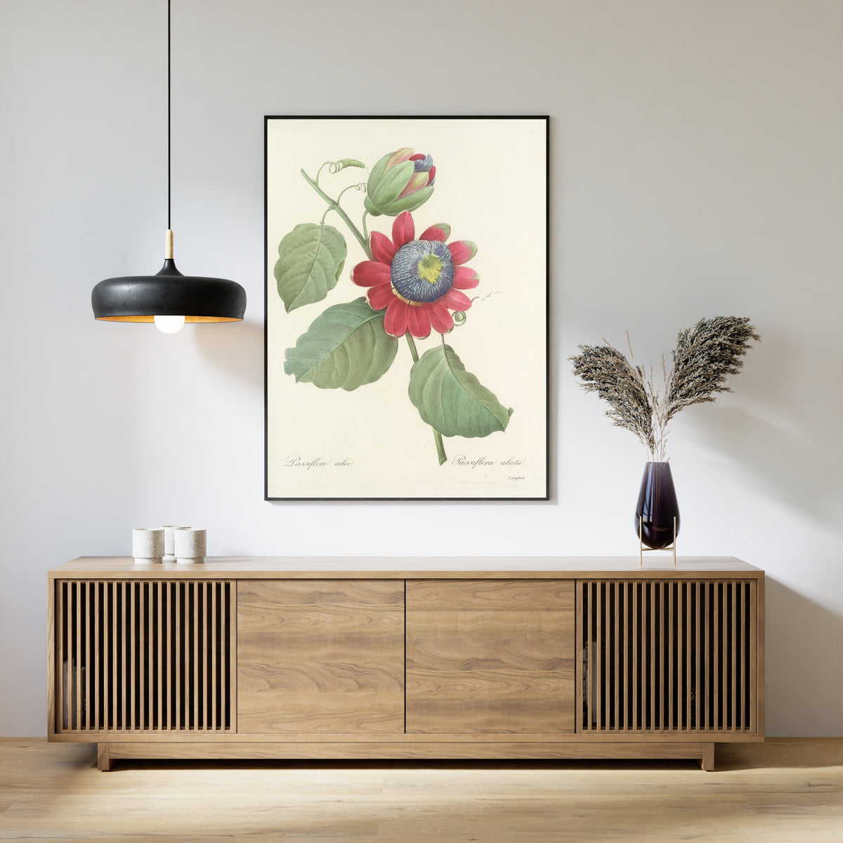 Pierre-Joseph Redouté — Choix des plus belles fleurs: Passiflora alata | Botanical Illustration Print
