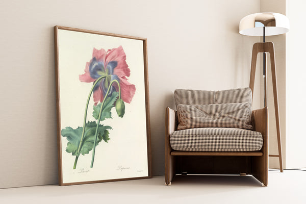 Pierre-Joseph Redouté — Choix des plus belles fleurs: Poppy | Botanical Illustration Print