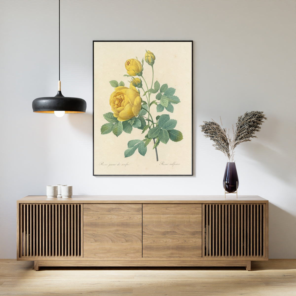 Pierre-Joseph Redouté — Choix des plus belles fleurs: Rosa sulfurea | Botanical Illustration Print