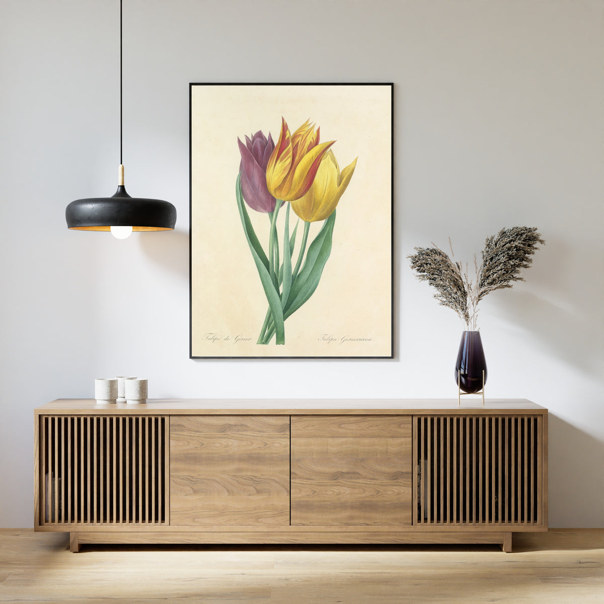 Pierre-Joseph Redouté — Choix des plus belles fleurs: Tulipa Gesneriana | Botanical Illustration Print