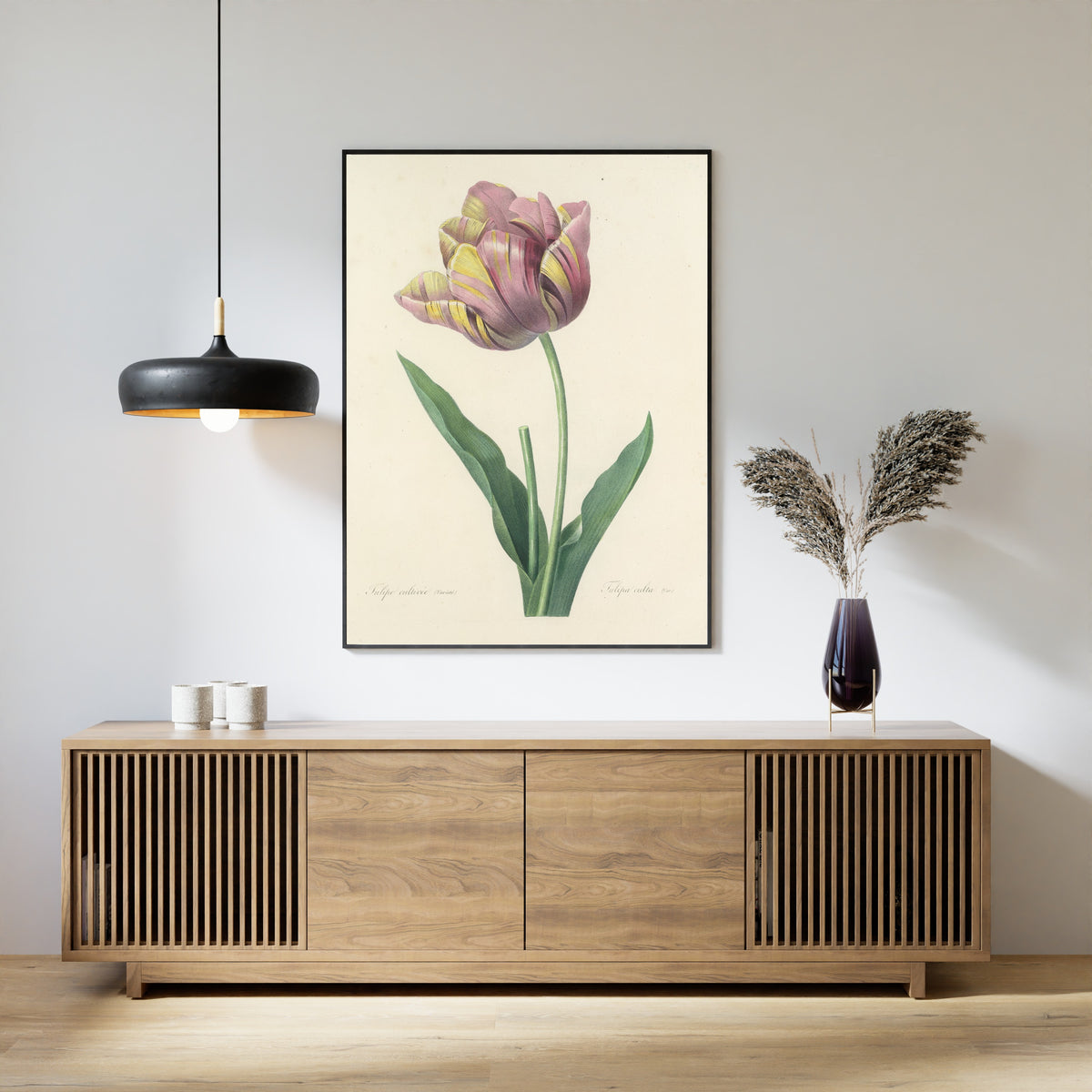 Pierre-Joseph Redouté — Choix des plus belles fleurs: Tulipa culta | Botanical Illustration Print