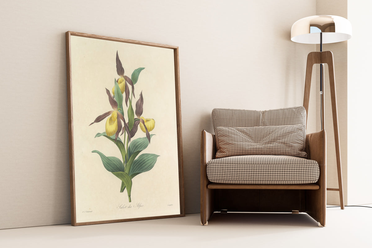 Framed art print of Choix des plus belles fleurs, Plate 102: Sabot des… by Pierre-Joseph Redouté, leaning against a wall beside an armchair and a floor lamp