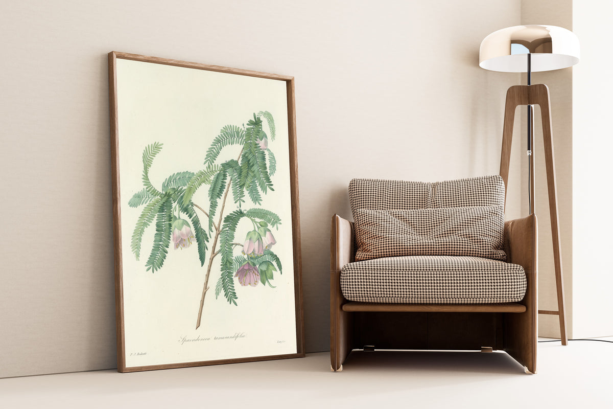 Framed art print of Choix des plus belles fleurs, Plate 103: Spaendoncea… by Pierre-Joseph Redouté, leaning against a wall beside an armchair and a floor lamp