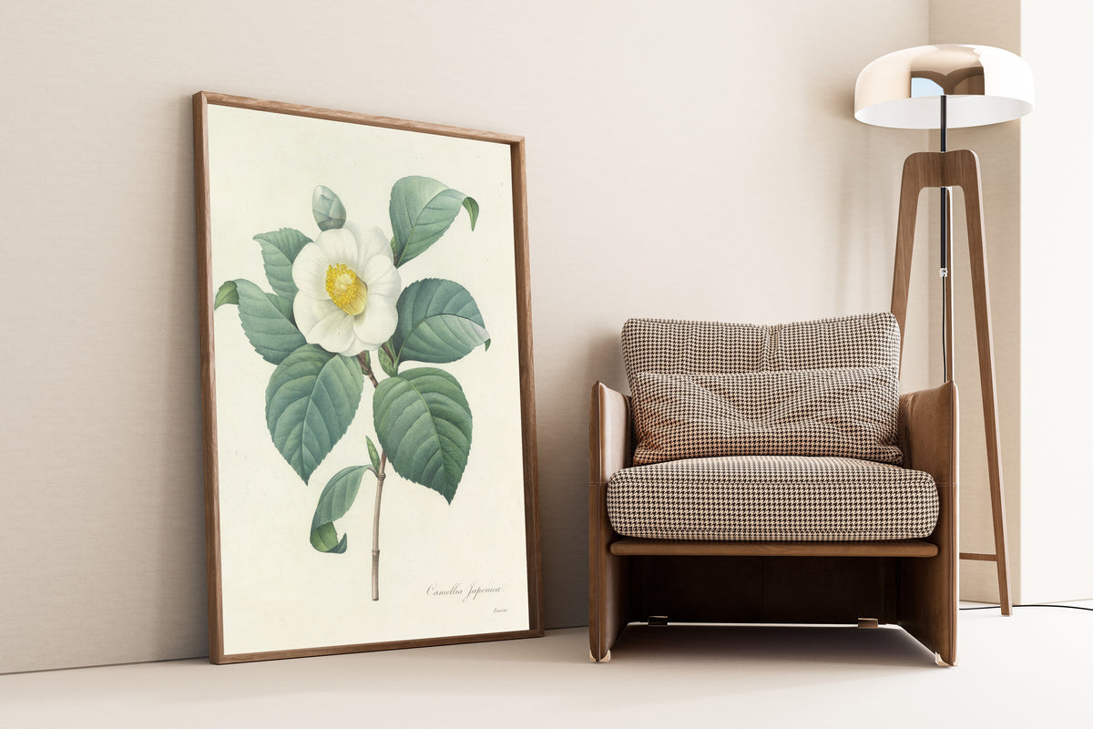 Framed art print of Choix des plus belles fleurs, Plate 16: Camellia… by Pierre-Joseph Redouté, leaning against a wall beside an armchair and a floor lamp