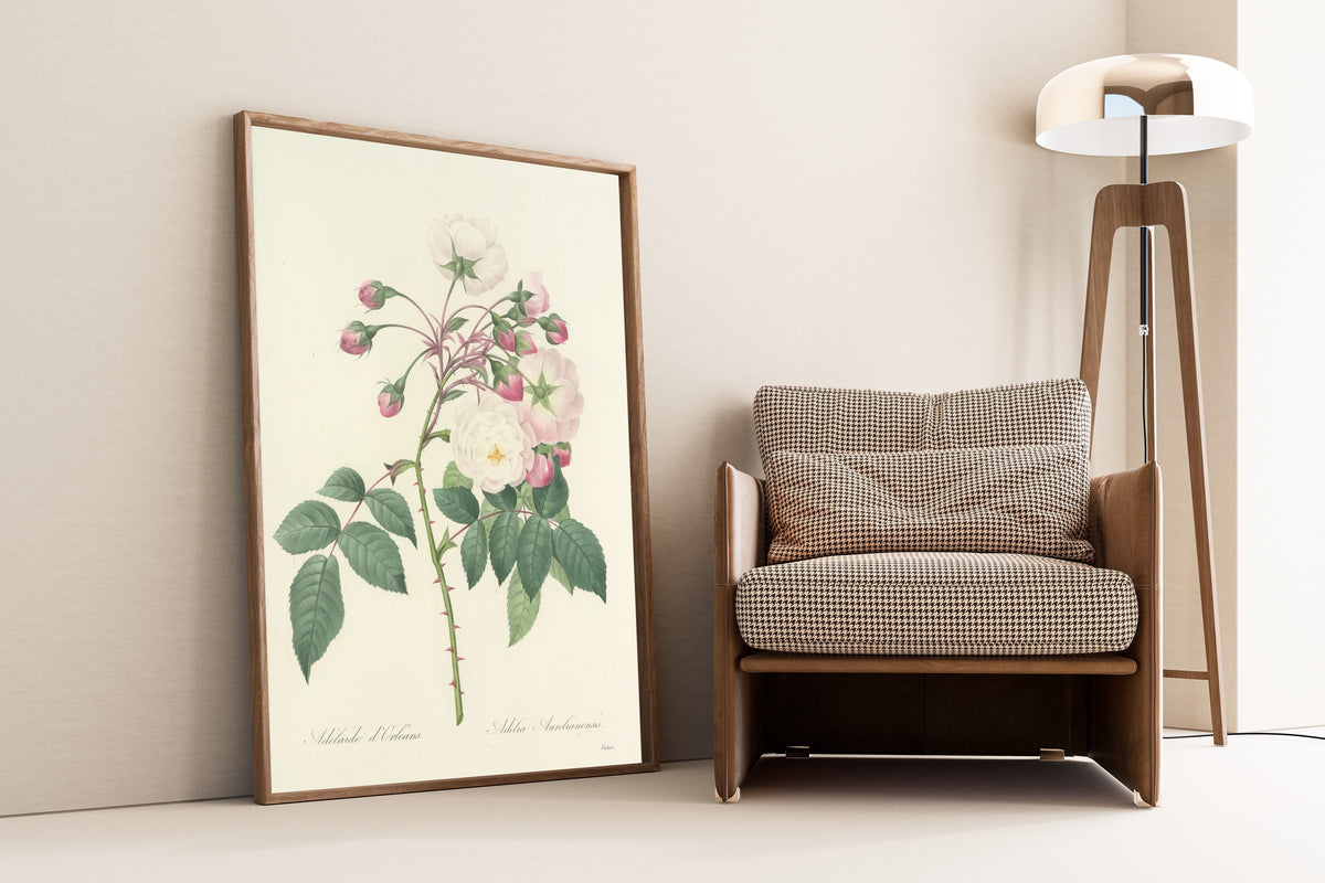 Framed art print of Choix des plus belles fleurs, Plate 2: Adelia… by Pierre-Joseph Redouté, leaning against a wall beside an armchair and a floor lamp