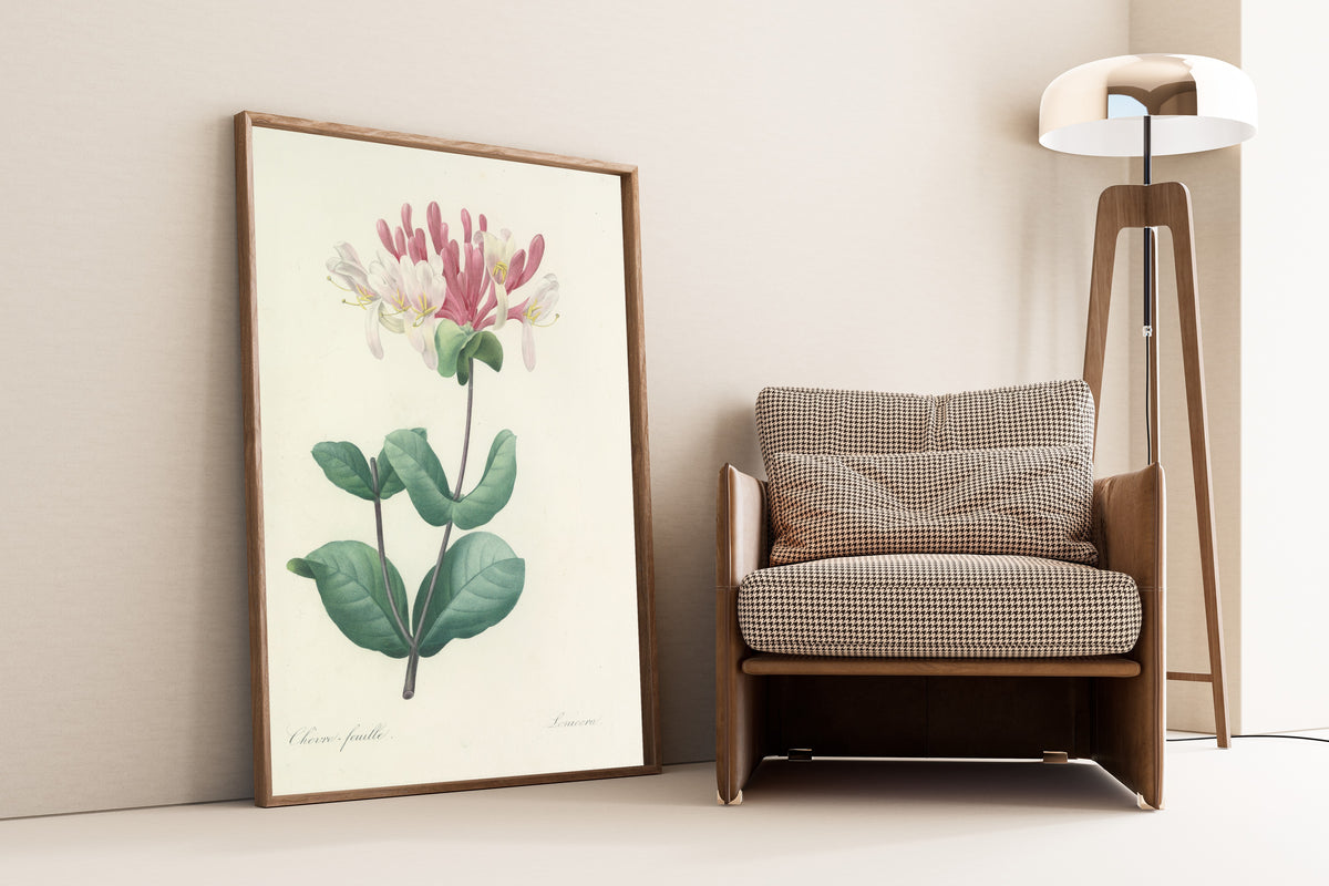 Framed art print of Choix des plus belles fleurs, Plate 23: Lonicera by Pierre-Joseph Redouté, leaning against a wall beside an armchair and a floor lamp