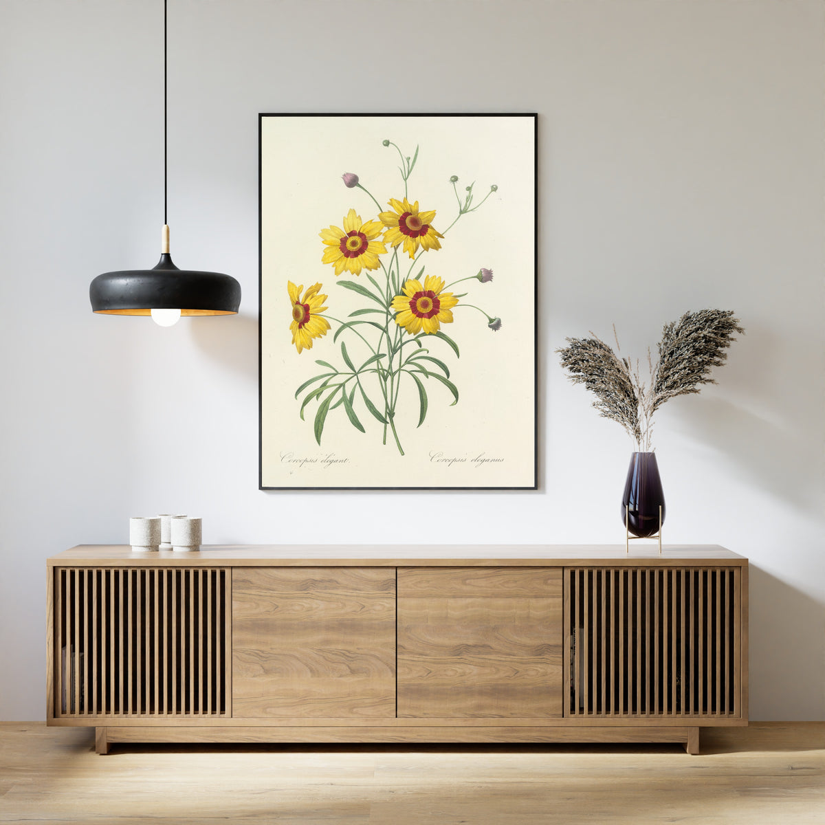 Framed art print of Choix des plus belles fleurs, Plate 26: Coreopsis Elegans by Pierre-Joseph Redouté, above a slatted wood sideboard