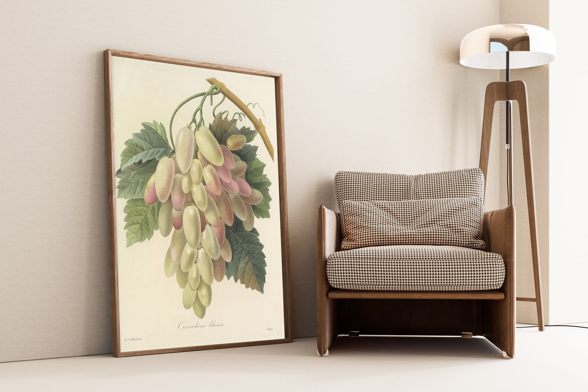 Framed art print of Choix des plus belles fleurs, Plate 27: Cornichons… by Pierre-Joseph Redouté, leaning against a wall beside an armchair and a floor lamp
