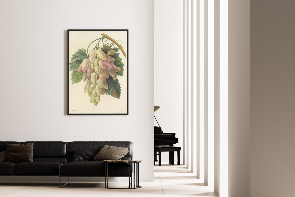 Framed art print of Choix des plus belles fleurs, Plate 27: Cornichons Blancs by Pierre-Joseph Redouté, on the wall of a minimal living room