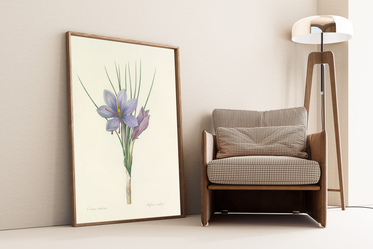Framed art print of Choix des plus belles fleurs, Plate 28: Crocus Sativus by Pierre-Joseph Redouté, leaning against a wall beside an armchair and a floor lamp