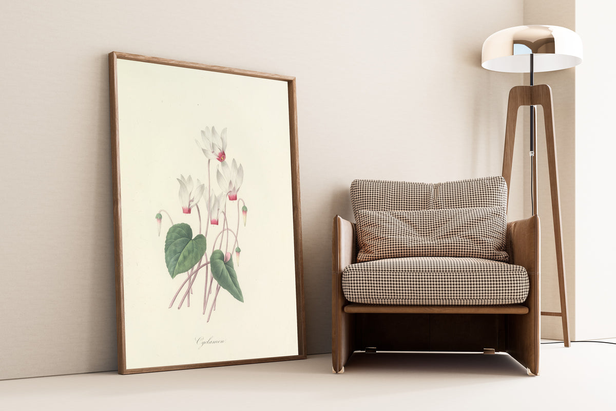 Framed art print of Choix des plus belles fleurs, Plate 29: Cyclamen by Pierre-Joseph Redouté, leaning against a wall beside an armchair and a floor lamp