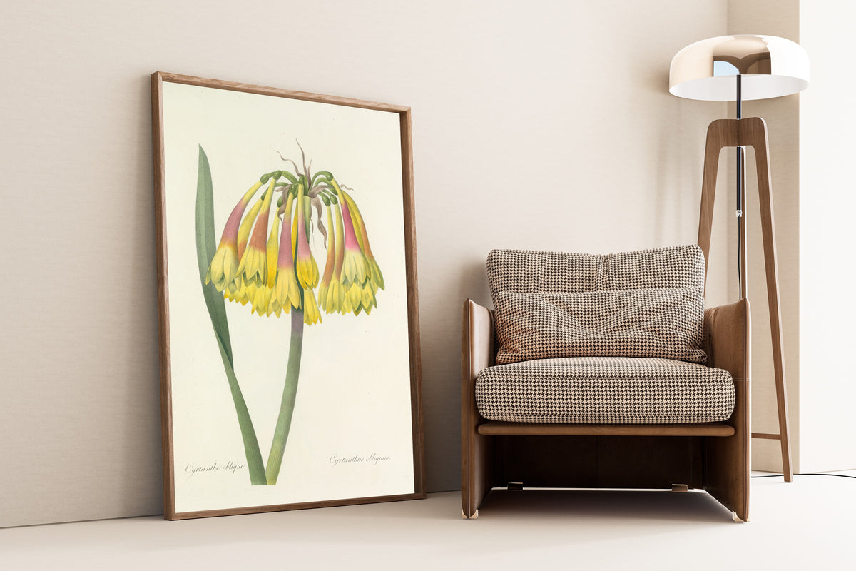 Framed art print of Choix des plus belles fleurs, Plate 30: Cyrtanthus… by Pierre-Joseph Redouté, leaning against a wall beside an armchair and a floor lamp