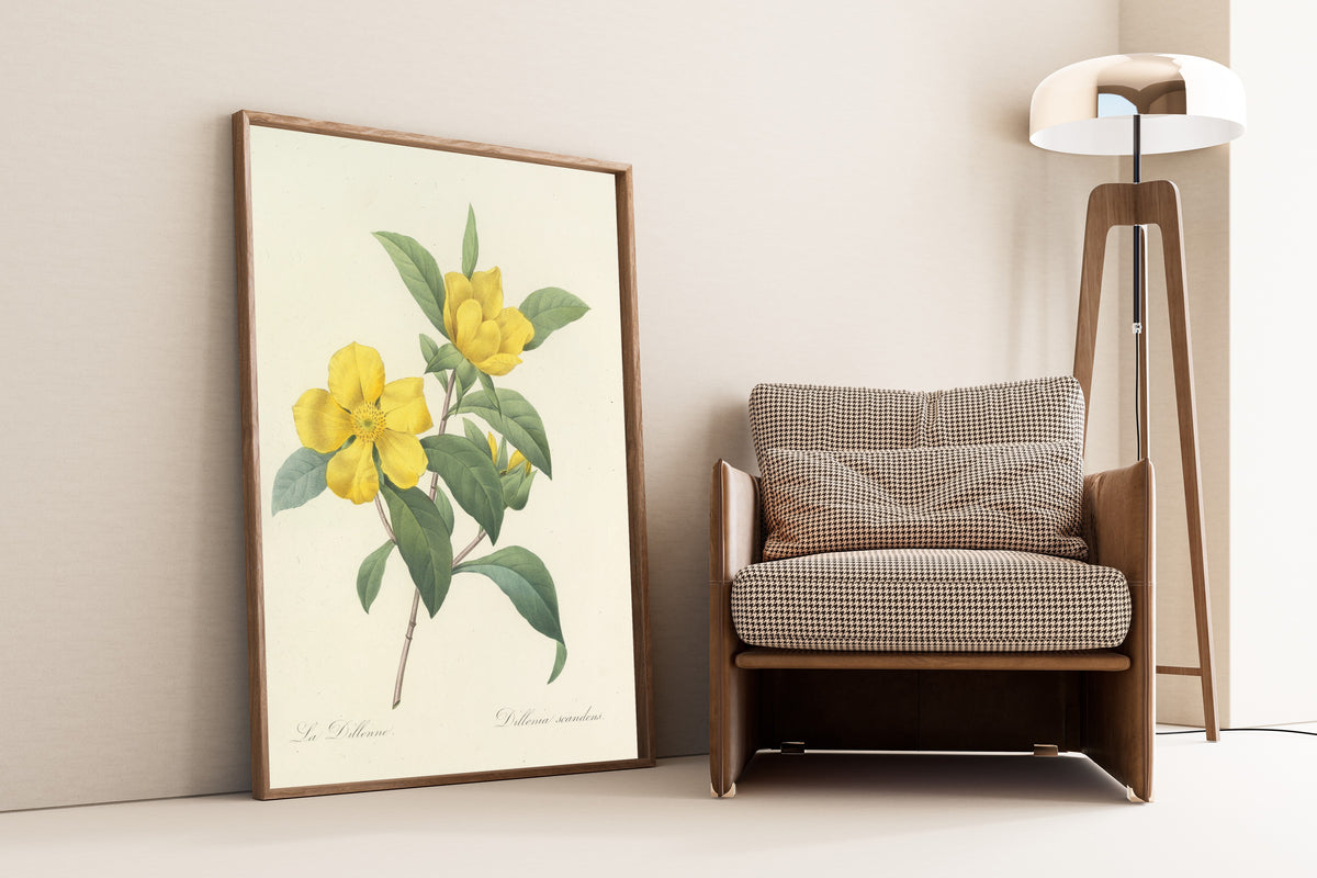 Framed art print of Choix des plus belles fleurs, Plate 35: Dillenia… by Pierre-Joseph Redouté, leaning against a wall beside an armchair and a floor lamp