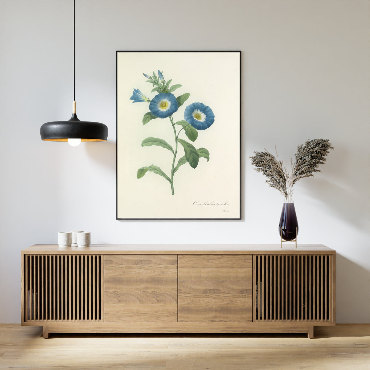 Framed art print of Choix des plus belles fleurs, Plate 43: Convolvulus Tricolor by Pierre-Joseph Redouté, above a slatted wood sideboard