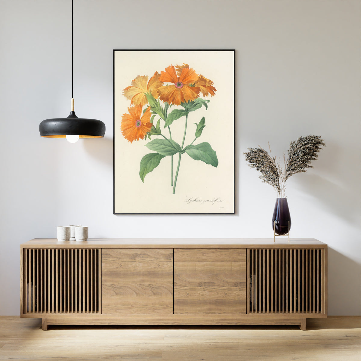 Framed art print of Choix des plus belles fleurs, Plate 44: Lychnis Grandiflora by Pierre-Joseph Redouté, above a slatted wood sideboard