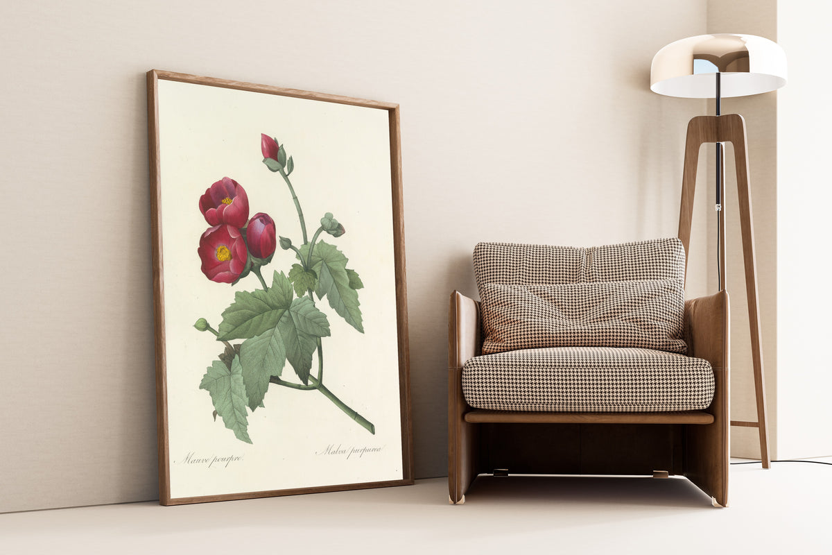 Framed art print of Choix des plus belles fleurs, Plate 47: Malva Purpurea by Pierre-Joseph Redouté, leaning against a wall beside an armchair and a floor lamp