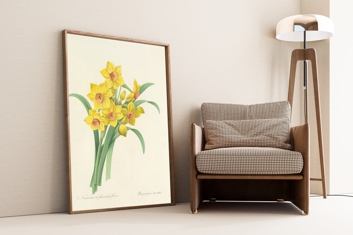 Framed art print of Choix des plus belles fleurs, Plate 52: Narcissus… by Pierre-Joseph Redouté, leaning against a wall beside an armchair and a floor lamp