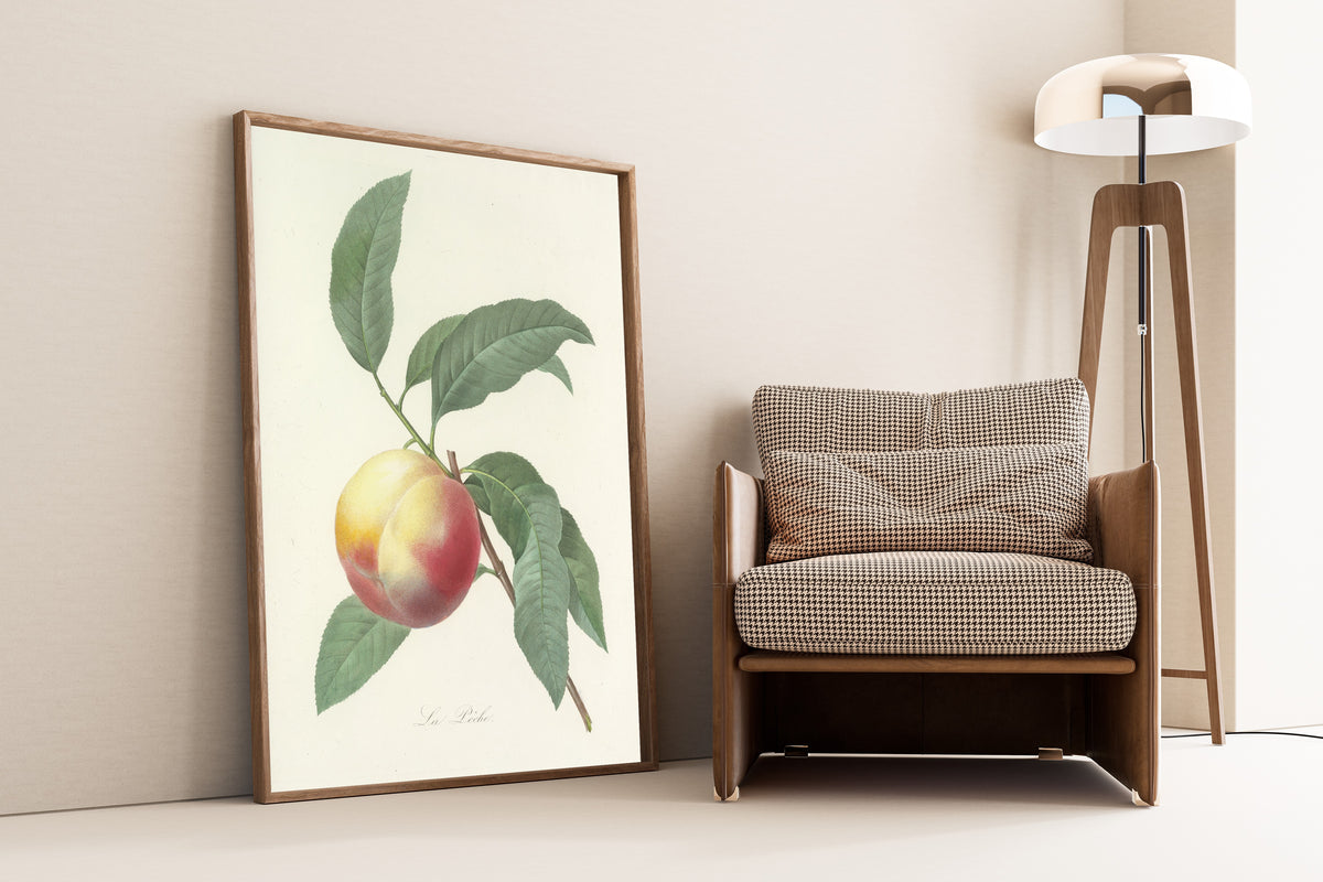 Framed art print of Choix des plus belles fleurs, Plate 64: La Pêche by Pierre-Joseph Redouté, leaning against a wall beside an armchair and a floor lamp