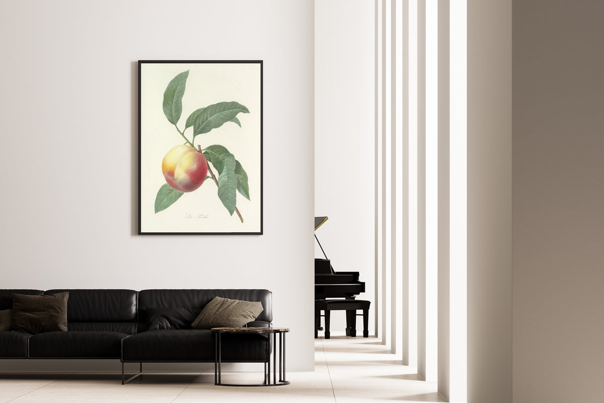 Framed art print of Choix des plus belles fleurs, Plate 64: La Pêche by Pierre-Joseph Redouté, on the wall of a minimal living room