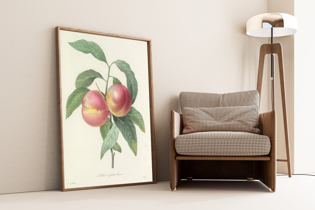 Framed art print of Choix des plus belles fleurs, Plate 65: Pêcher à… by Pierre-Joseph Redouté, leaning against a wall beside an armchair and a floor lamp