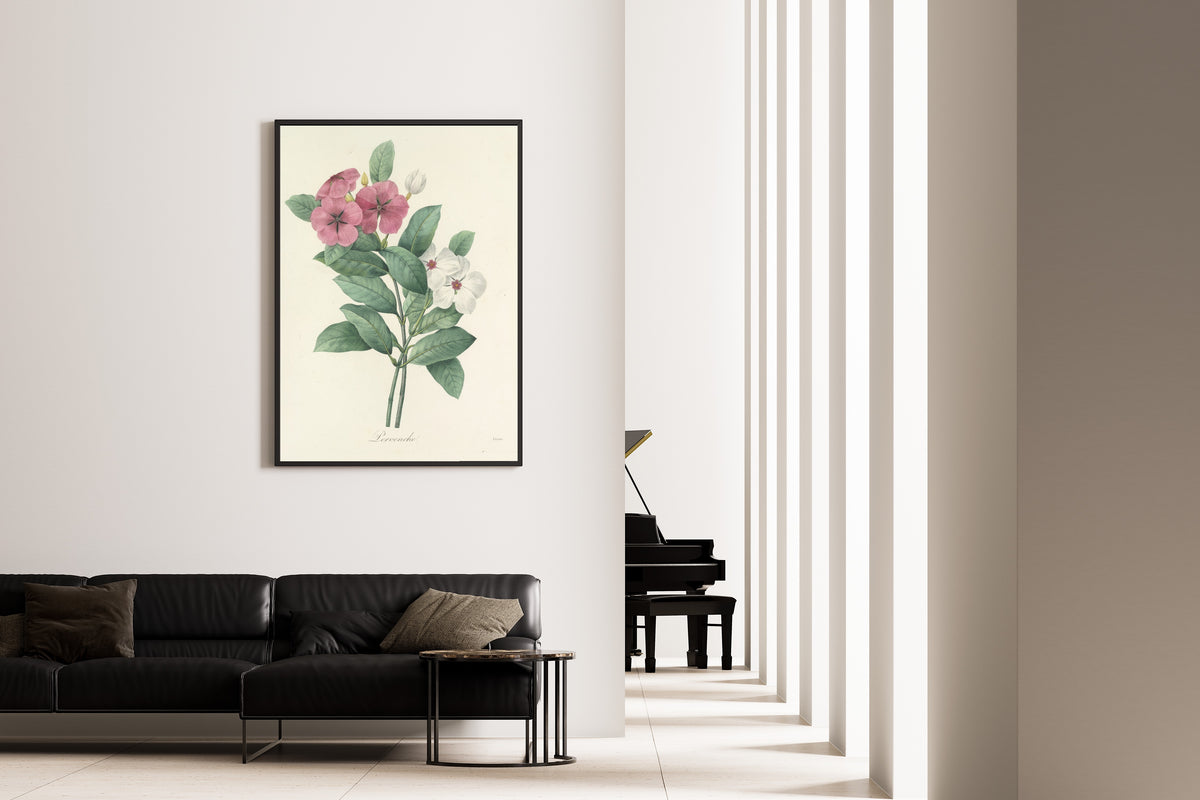 Framed art print of Choix des plus belles fleurs, Plate 68: Pervenche by Pierre-Joseph Redouté, on the wall of a minimal living room