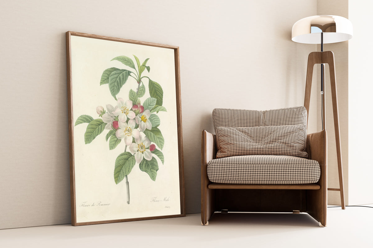 Framed art print of Choix des plus belles fleurs, Plate 79: Flores Mali by Pierre-Joseph Redouté, leaning against a wall beside an armchair and a floor lamp