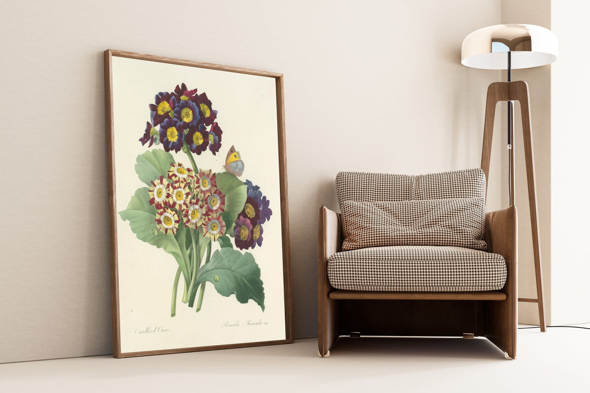 Framed art print of Choix des plus belles fleurs, Plate 80: Primula… by Pierre-Joseph Redouté, leaning against a wall beside an armchair and a floor lamp