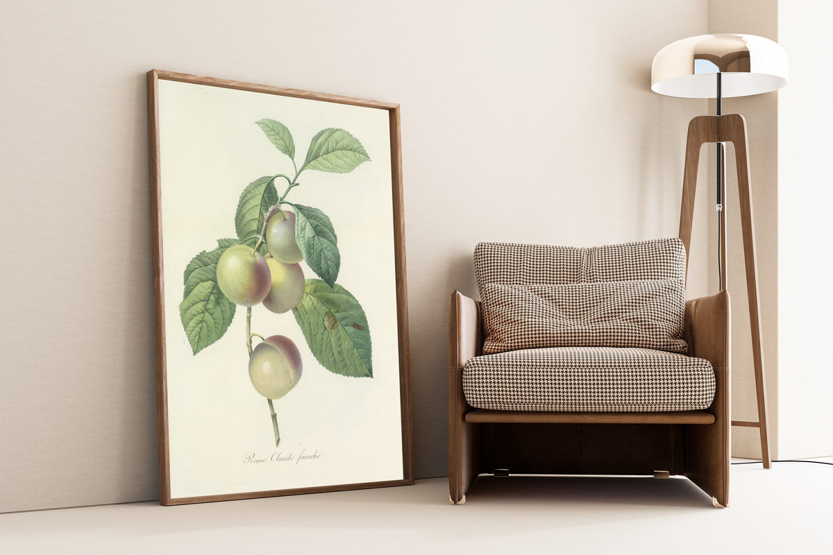 Framed art print of Choix des plus belles fleurs, Plate 85: Reine Claude… by Pierre-Joseph Redouté, leaning against a wall beside an armchair and a floor lamp